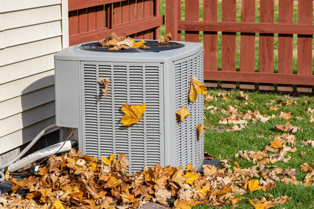 Best Local HVAC Companies  in Hopkins, MN